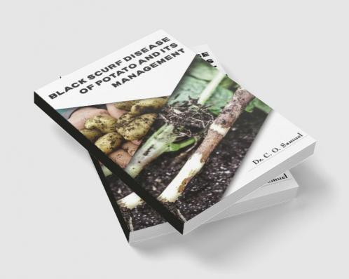 Black Scurf Disease of Potato and its Management