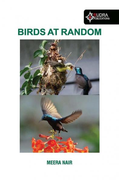 Birds at random