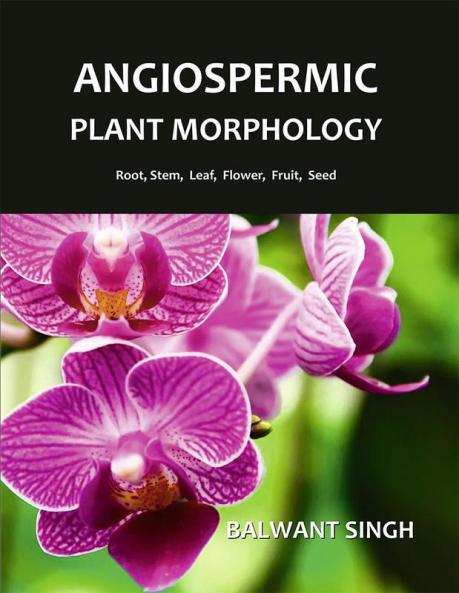 Angiospermic Plant Morphology