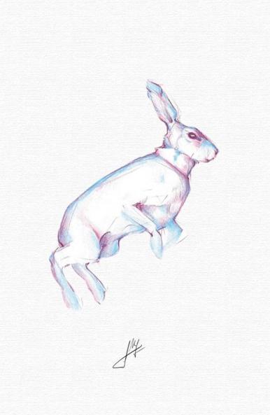 Create Journal Plus Art Book (Hardcover Edition)