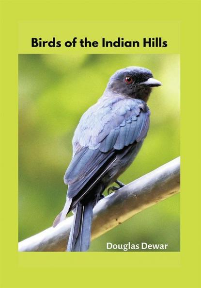 Birds of the Indian Hills