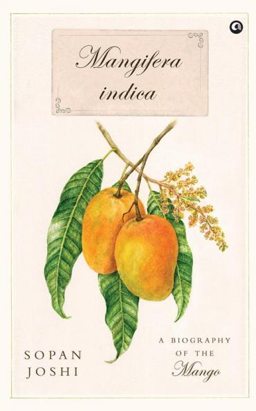 Mangifera indica