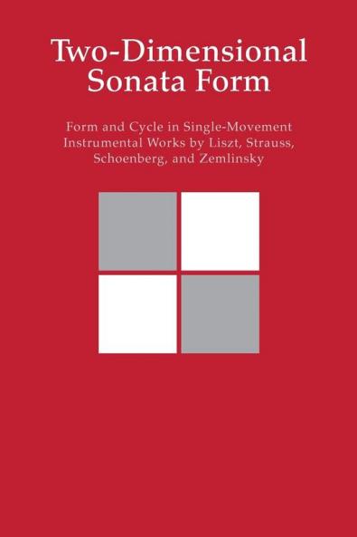 Two-Dimensional Sonata Form