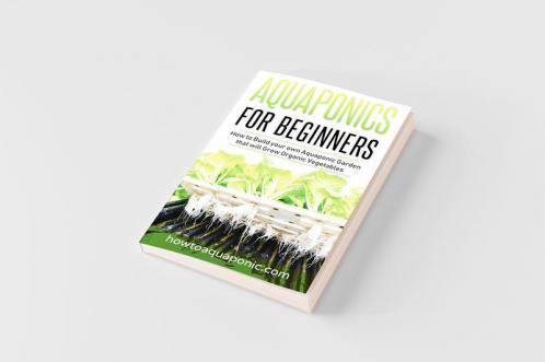 Aquaponics for Beginners