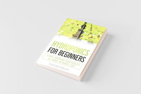Hydroponics for Beginners