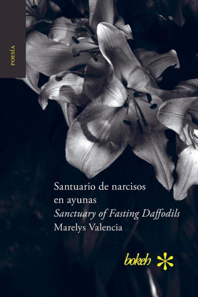 Santuario de narcisos en ayunas / Sanctuary of Fasting Daffodils