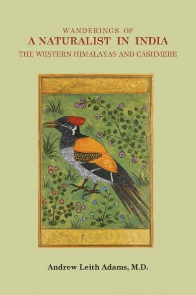 Wanderings of a Naturalist in India the Western Himalayas and Cashmere