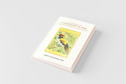 Wanderings of a Naturalist in India the Western Himalayas and Cashmere