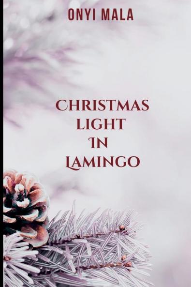Christmas Light in Lamingo