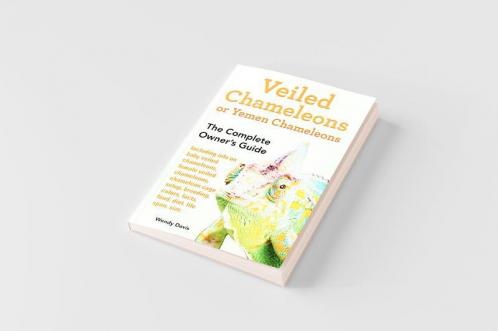 Veiled Chameleons or Yemen Chameleons as pets. info on baby veiled chameleons female veiled chameleons chameleon cage setup breeding colors facts food diet life span size.