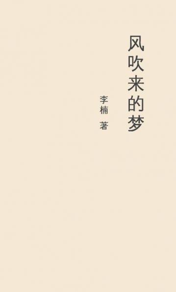 风吹来的梦 A Dream Blown By The Wind (Chinese Edition)