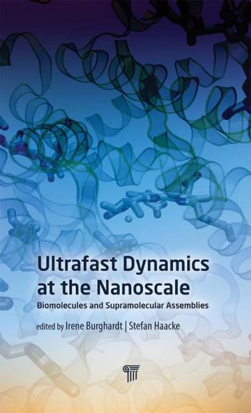 Ultrafast Dynamics at the Nanoscale
