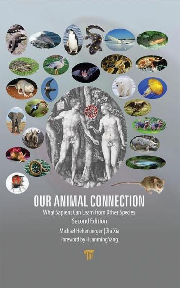 Our Animal Connection