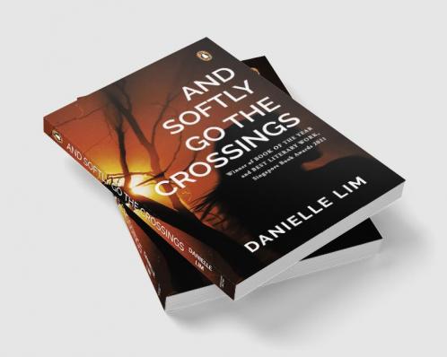 And Softly Go the Crossings: A collection of short stories