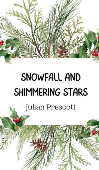 Snowfall and Shimmering Stars