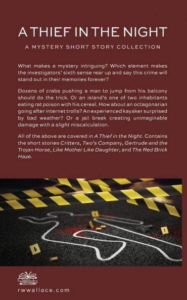 A Thief in the Night: A Mystery Short Story Collection