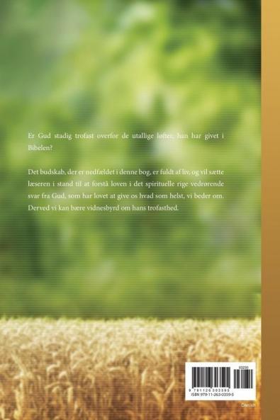 En kommentar til udgivelsen: My Father Will Give to You in My Name (Danish)