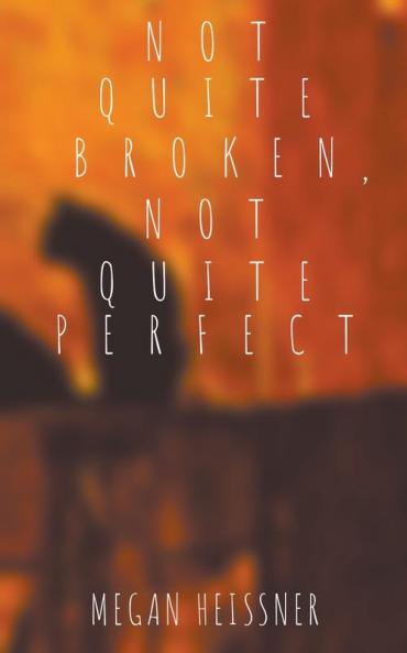 Not Quite Broken Not Quite Perfect
