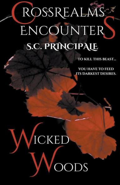 CrossRealms Encounters