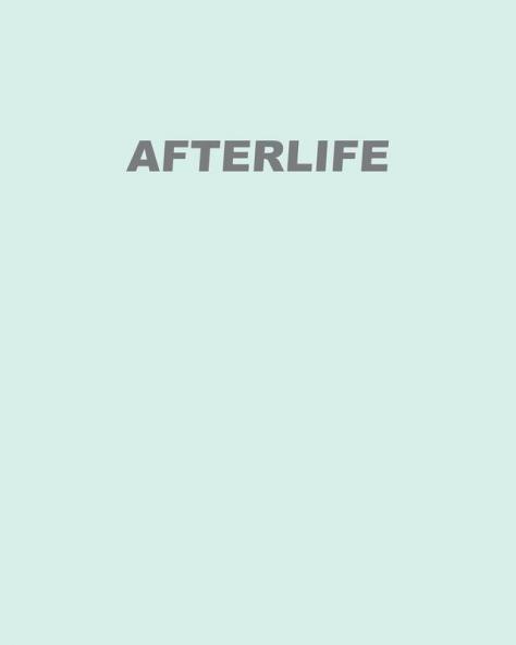 Afterlife