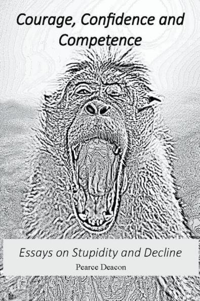 Courage Confidence and Competence