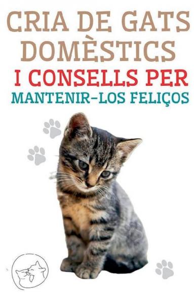 Cria de Gats Dom��stics i Consells per Mantenir-los Feli��os