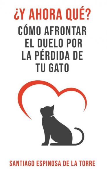 ��Y ahora qu��?