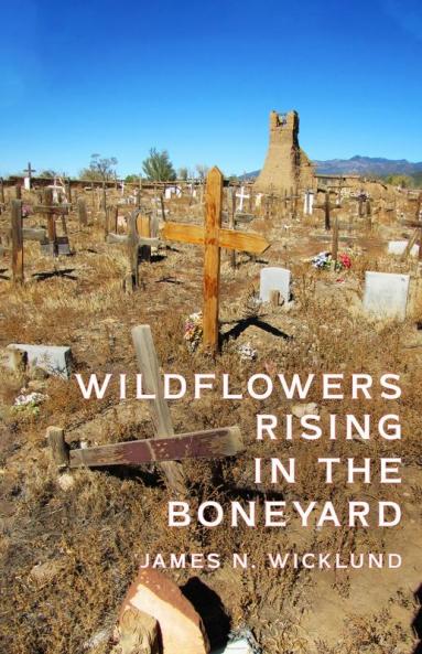 Wildflowers Rising in the Boneyard