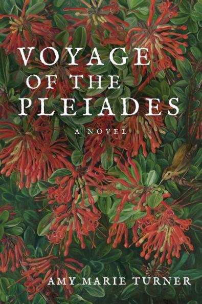 Voyage of the Pleiades