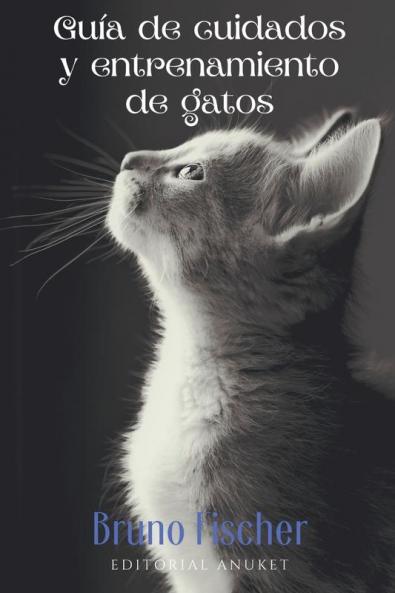 Guia de Cuidados y Entrenamiento de Gatos