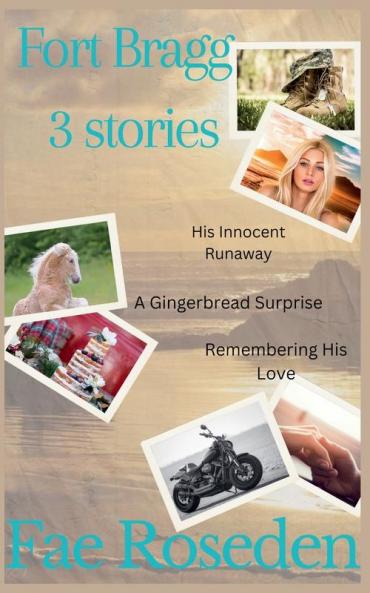 Fort Bragg 3 stories