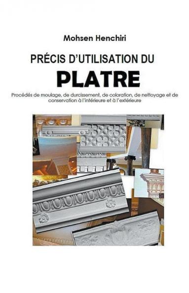 PRÉCIS D'UTILISATION DU PLATRE Procédés de moulage de durcissement de coloration de nettoyage et de conservation à l'intérieure et à l'extérieure