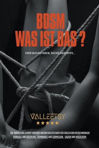 BDSM Was ist das ? Vier Buchstaben sechs Begriffe