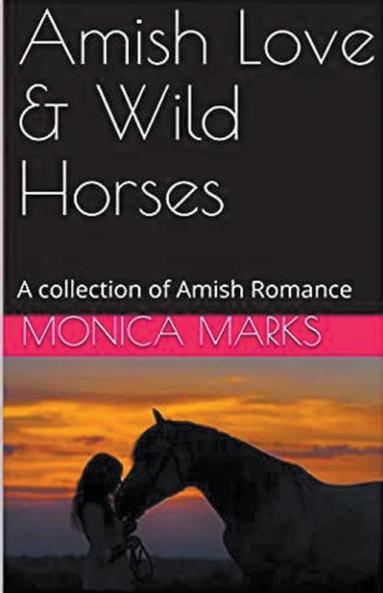Amish Love & Wild Horses