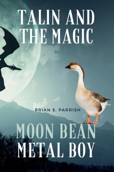 Talin and the Magic Moon Bean Metal Boy