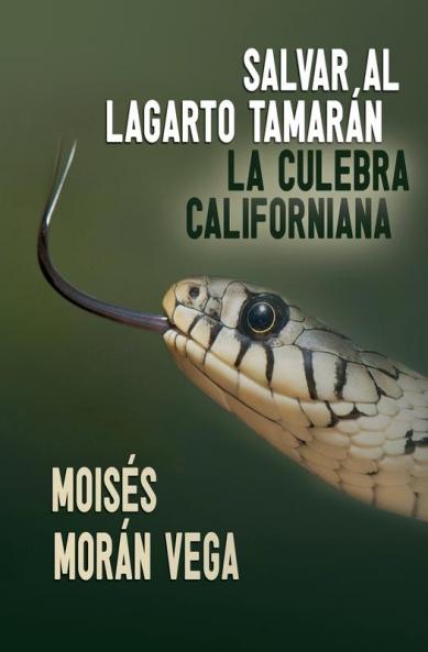 Salvar al lagarto Tamarán. La culebra californiana