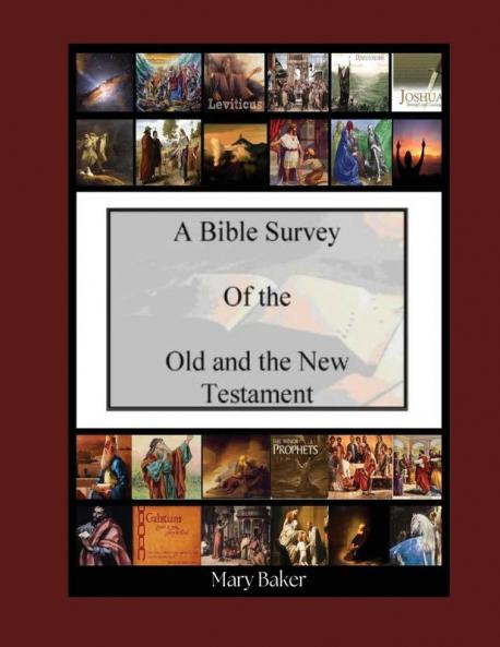 Bible Survey of the Old and New Testament