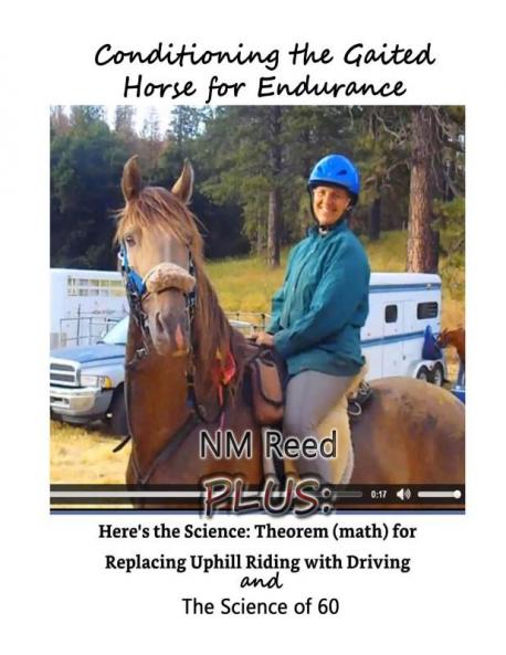 Conditioning the Gaited Horse for Endurance