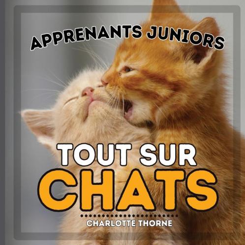 Apprenants Juniors Tout Sur Chats