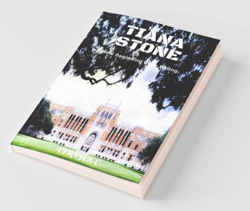 Tiana Stone : New Beginning Gone Wrong