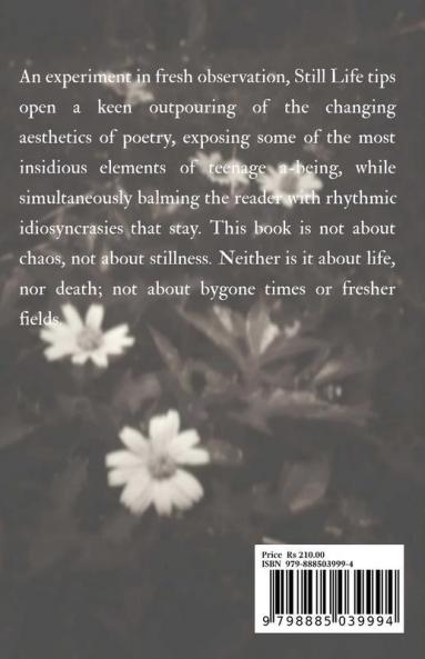 Still Life
