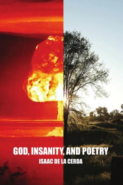 God Insanity and Poetry