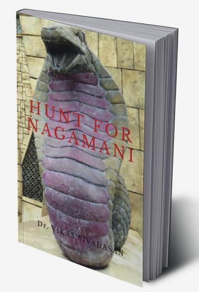 HUNT FOR NAGAMANI