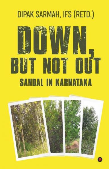 Down but Not Out - Sandal in Karnataka