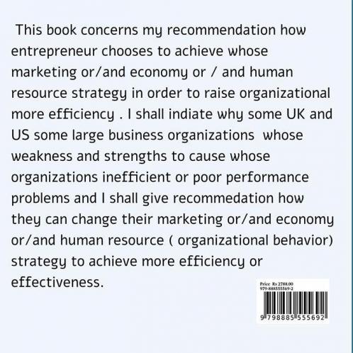 Organizational Behavioral Economy Strategies