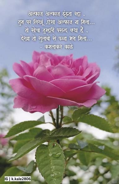 Mazya gulaba charoli sangrah / माझ्या गुलाबा चारोळी संग्रह