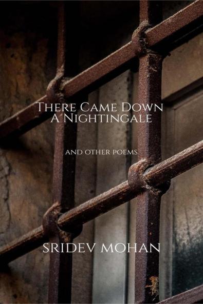 There Came Down A Nightingale and other poems