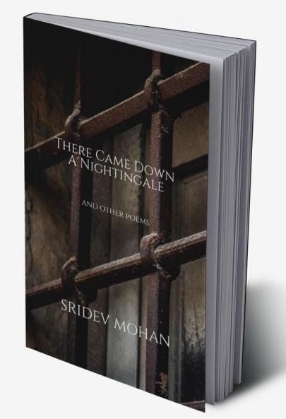 There Came Down A Nightingale and other poems