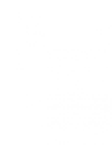 Flawlessly Imperfect