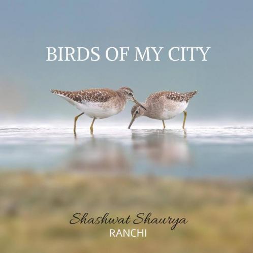 Birds Of My City : Ranchi City
